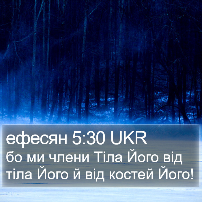 ефесян 5:30 UKR Bible Study