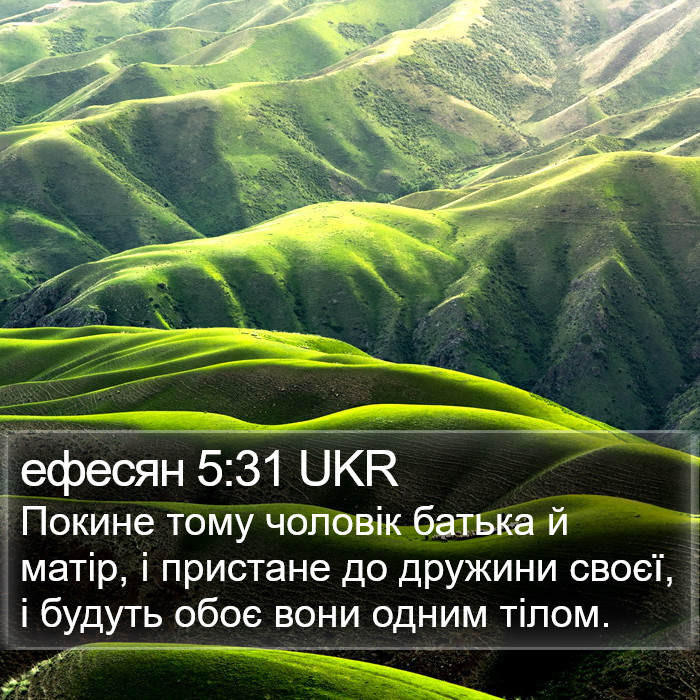 ефесян 5:31 UKR Bible Study