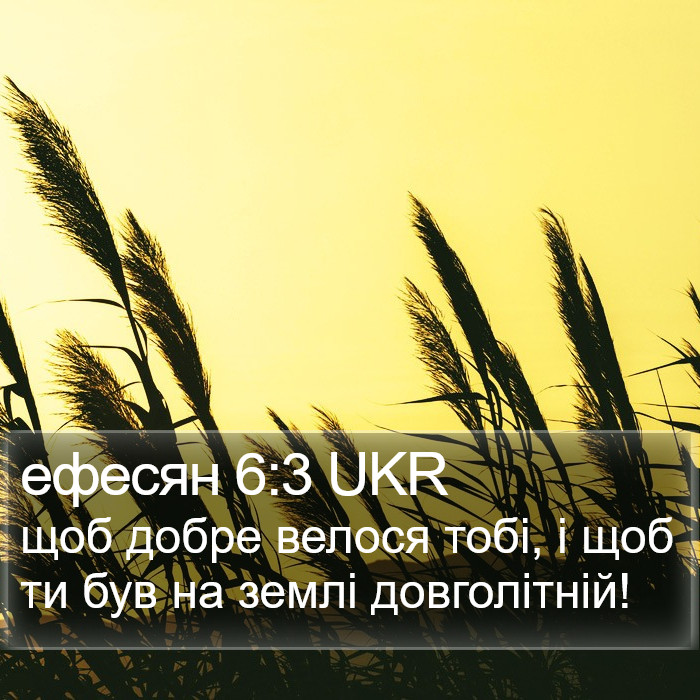 ефесян 6:3 UKR Bible Study