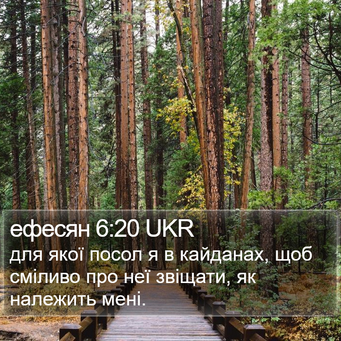 ефесян 6:20 UKR Bible Study