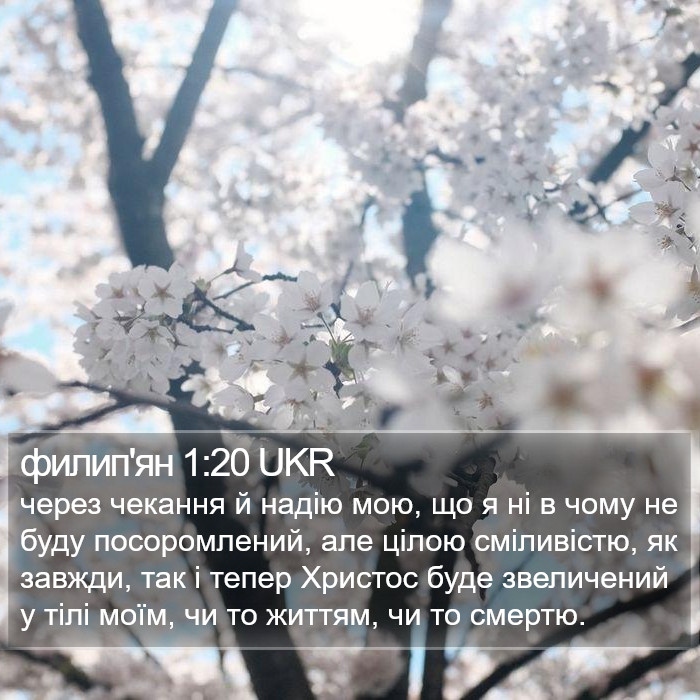 филип'ян 1:20 UKR Bible Study