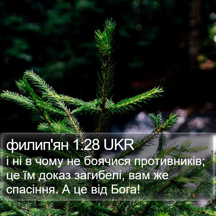 филип'ян 1:28 UKR Bible Study