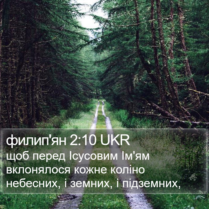 филип'ян 2:10 UKR Bible Study