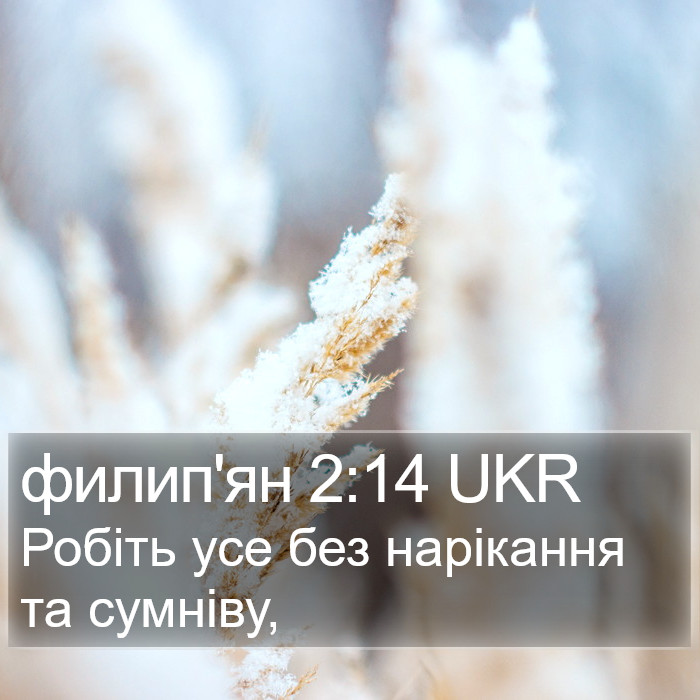 филип'ян 2:14 UKR Bible Study