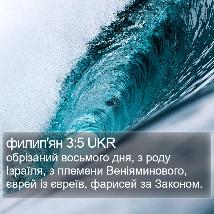 филип'ян 3:5 UKR Bible Study