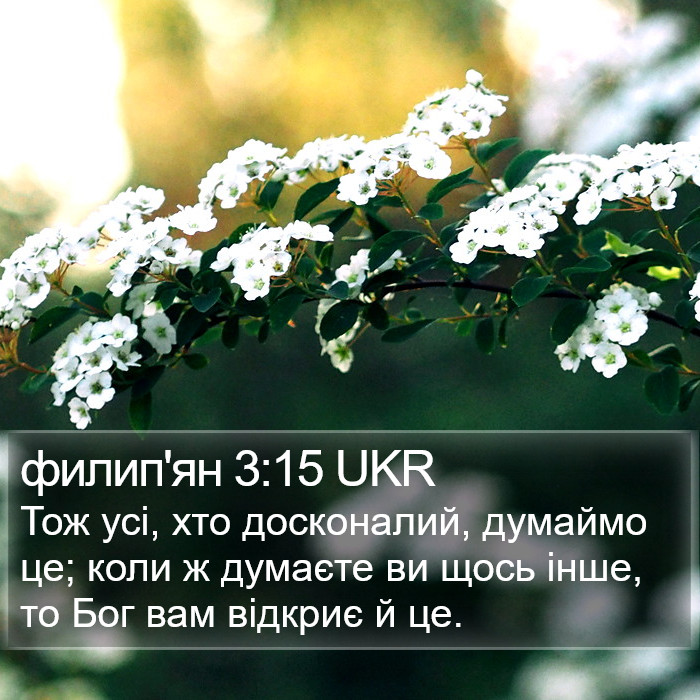 филип'ян 3:15 UKR Bible Study