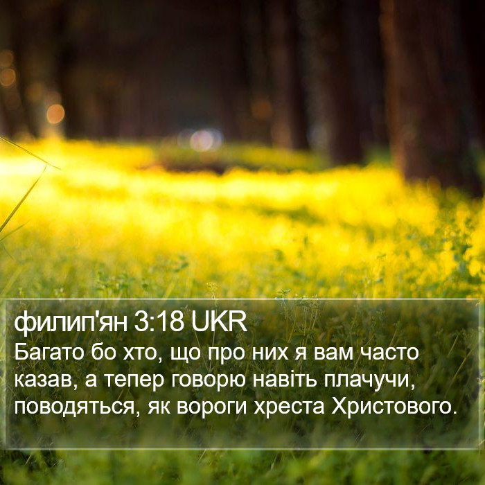 филип'ян 3:18 UKR Bible Study