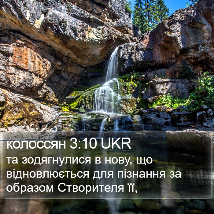 колоссян 3:10 UKR Bible Study