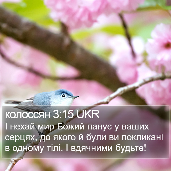 колоссян 3:15 UKR Bible Study