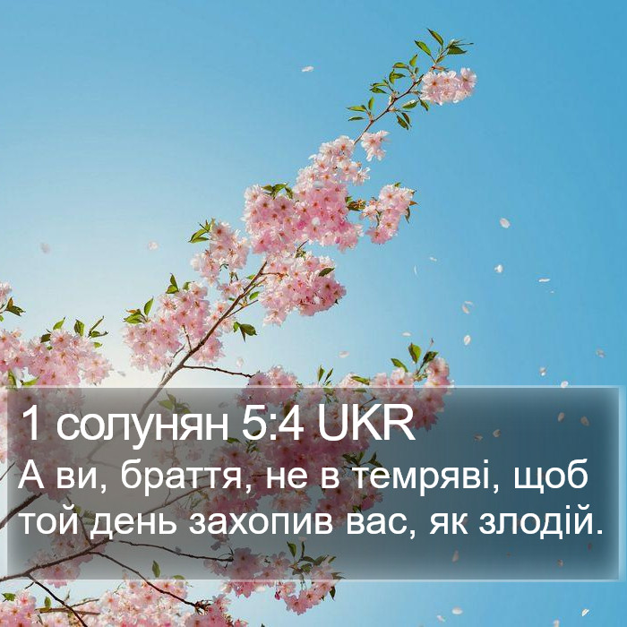 1 солунян 5:4 UKR Bible Study