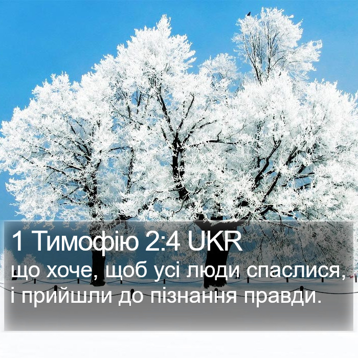 1 Тимофію 2:4 UKR Bible Study
