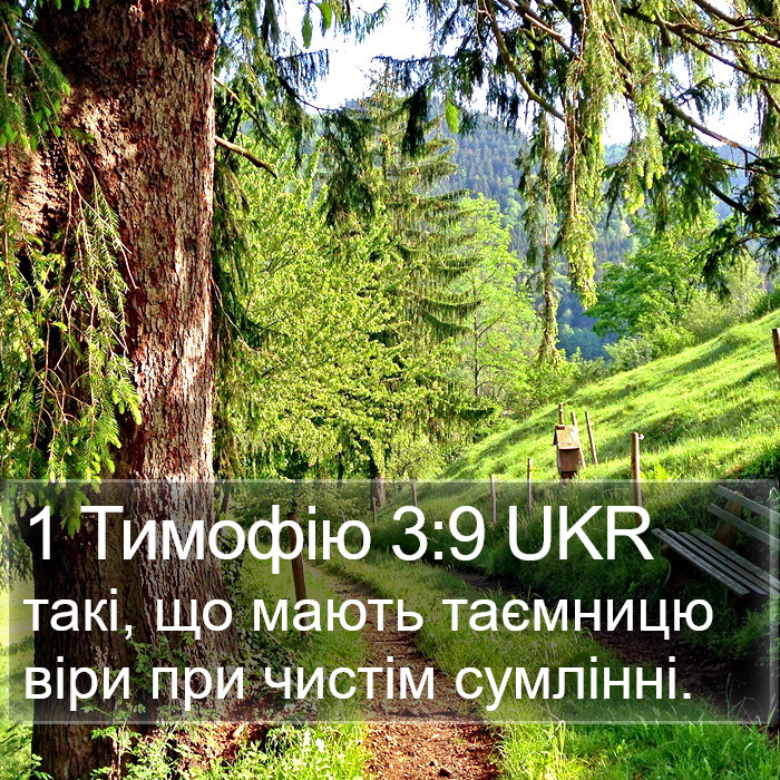 1 Тимофію 3:9 UKR Bible Study