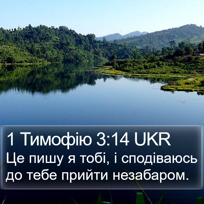 1 Тимофію 3:14 UKR Bible Study