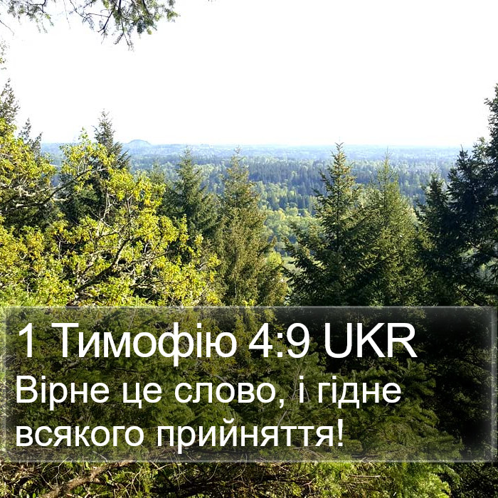 1 Тимофію 4:9 UKR Bible Study