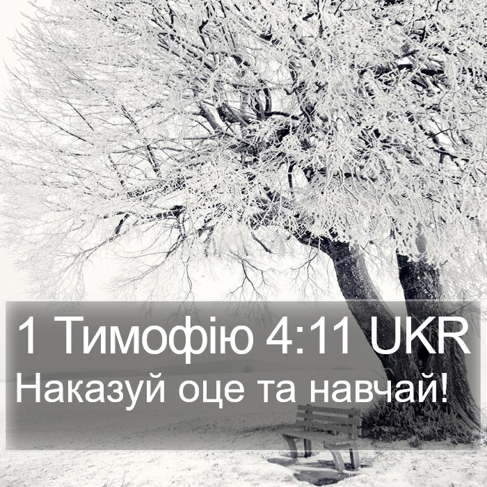 1 Тимофію 4:11 UKR Bible Study