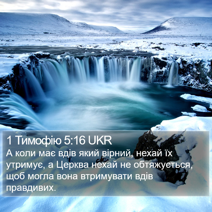 1 Тимофію 5:16 UKR Bible Study