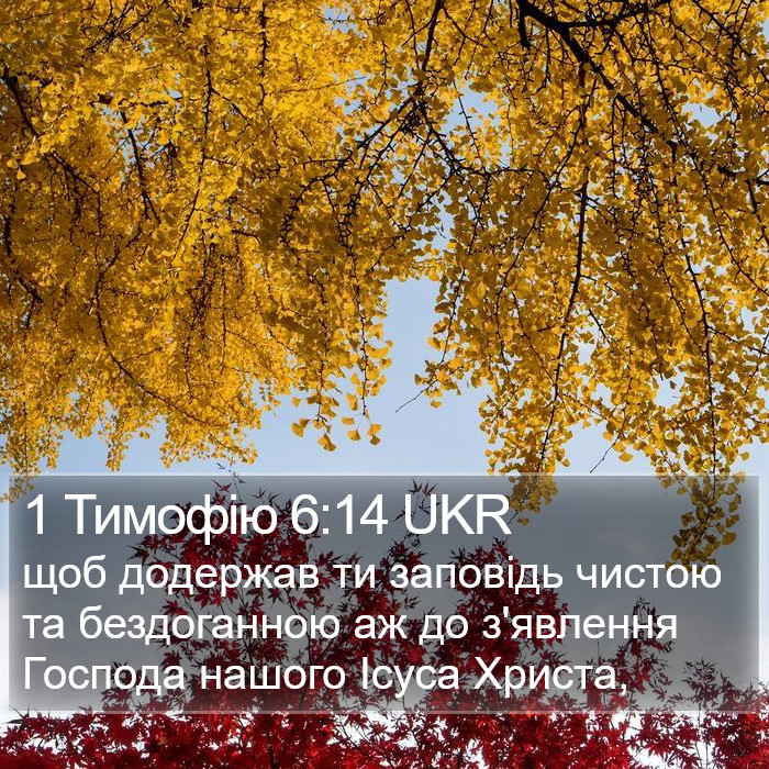1 Тимофію 6:14 UKR Bible Study