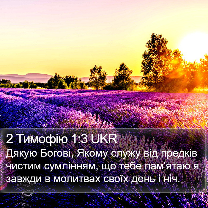 2 Тимофію 1:3 UKR Bible Study