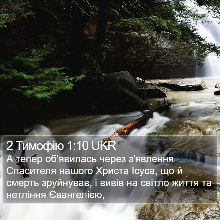 2 Тимофію 1:10 UKR Bible Study