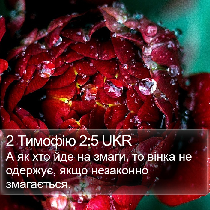 2 Тимофію 2:5 UKR Bible Study