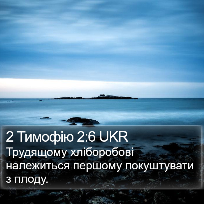 2 Тимофію 2:6 UKR Bible Study