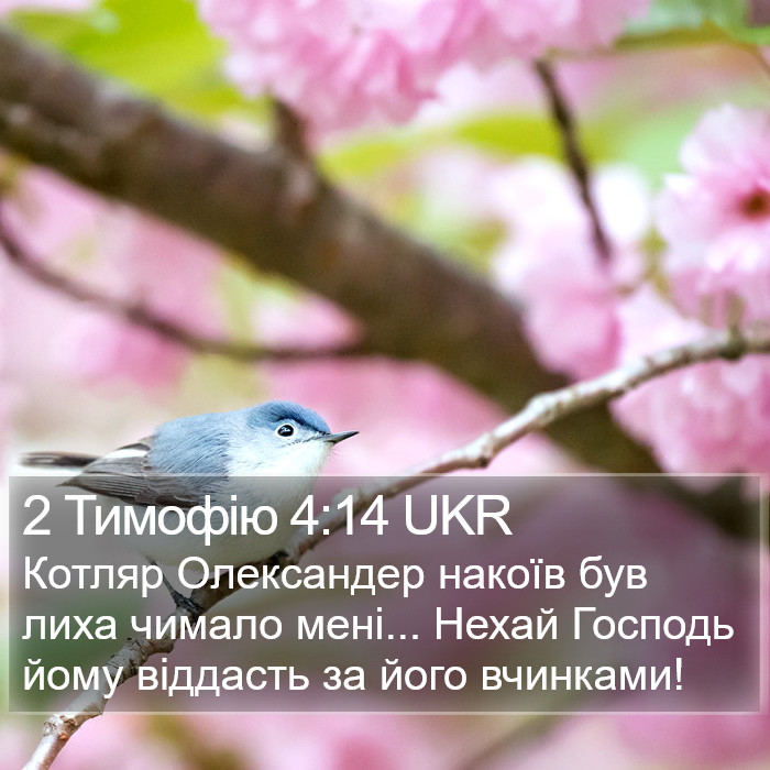 2 Тимофію 4:14 UKR Bible Study