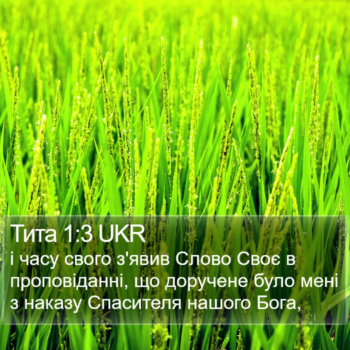 Тита 1:3 UKR Bible Study