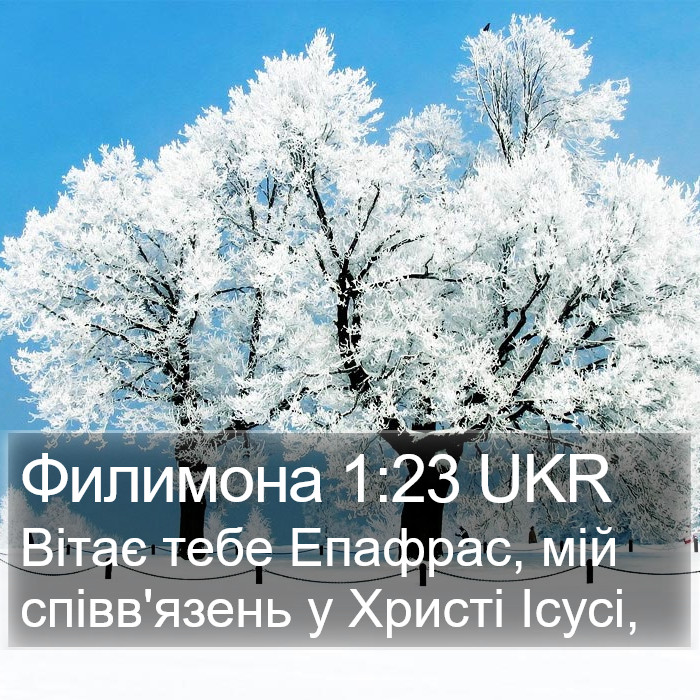 Филимона 1:23 UKR Bible Study