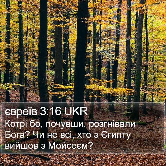 євреїв 3:16 UKR Bible Study