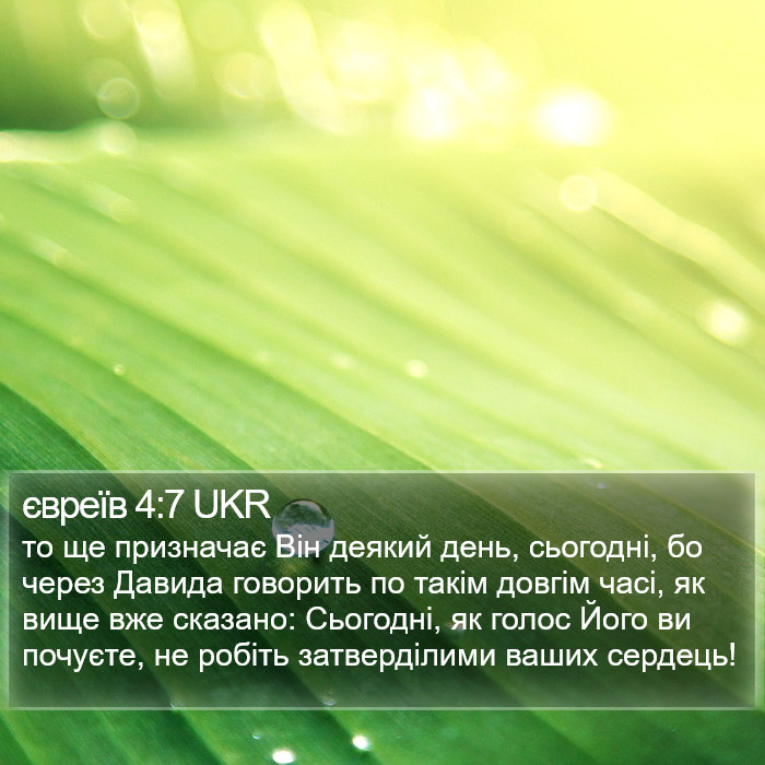 євреїв 4:7 UKR Bible Study
