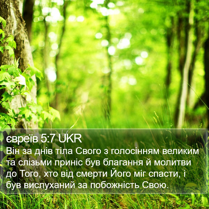 євреїв 5:7 UKR Bible Study