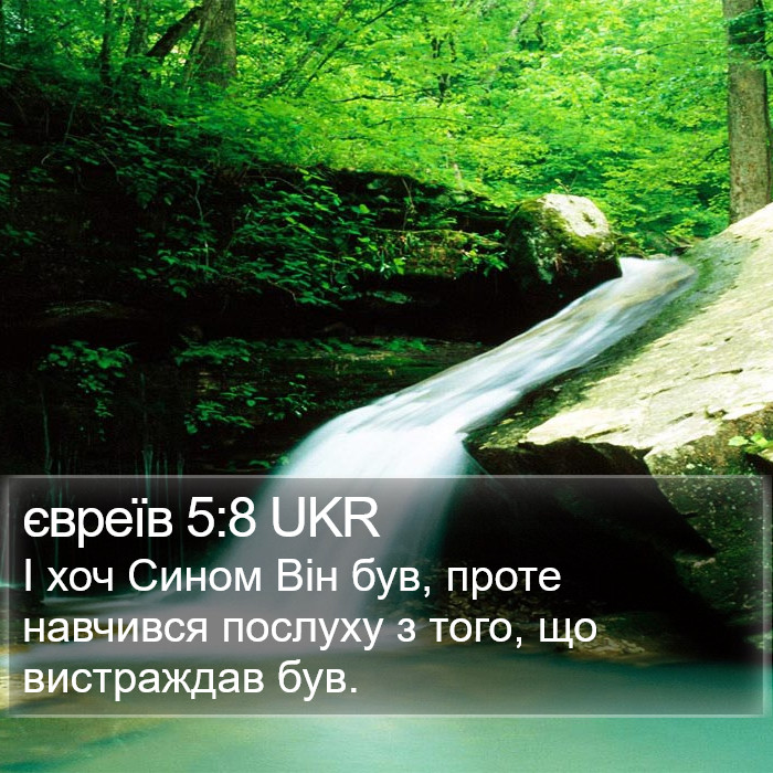 євреїв 5:8 UKR Bible Study