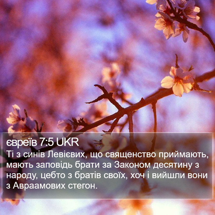 євреїв 7:5 UKR Bible Study