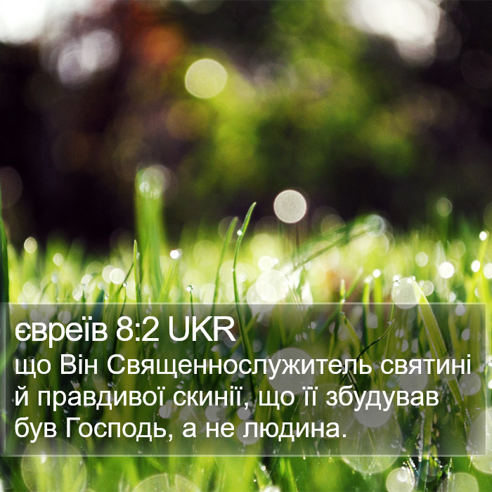 євреїв 8:2 UKR Bible Study