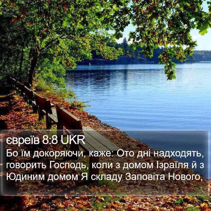 євреїв 8:8 UKR Bible Study