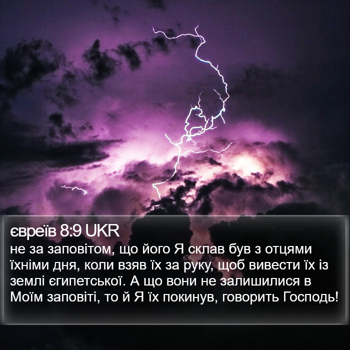 євреїв 8:9 UKR Bible Study