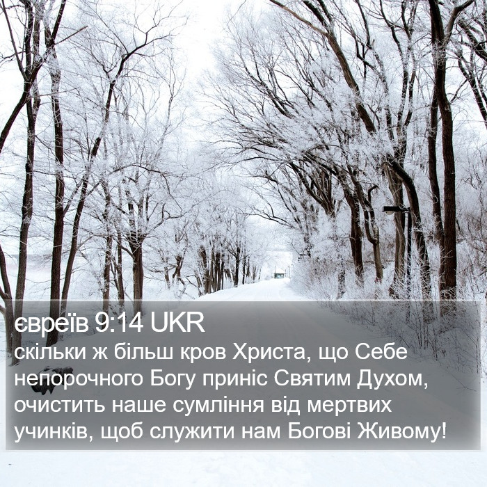 євреїв 9:14 UKR Bible Study