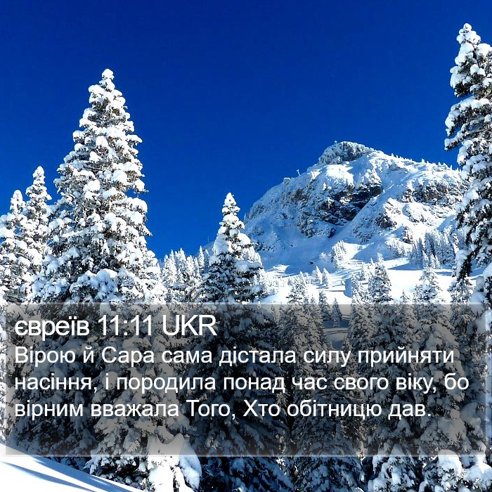 євреїв 11:11 UKR Bible Study