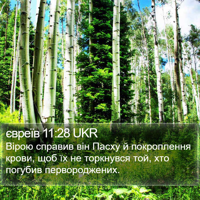 євреїв 11:28 UKR Bible Study