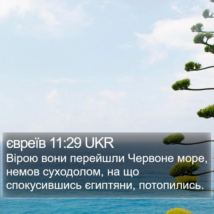 євреїв 11:29 UKR Bible Study