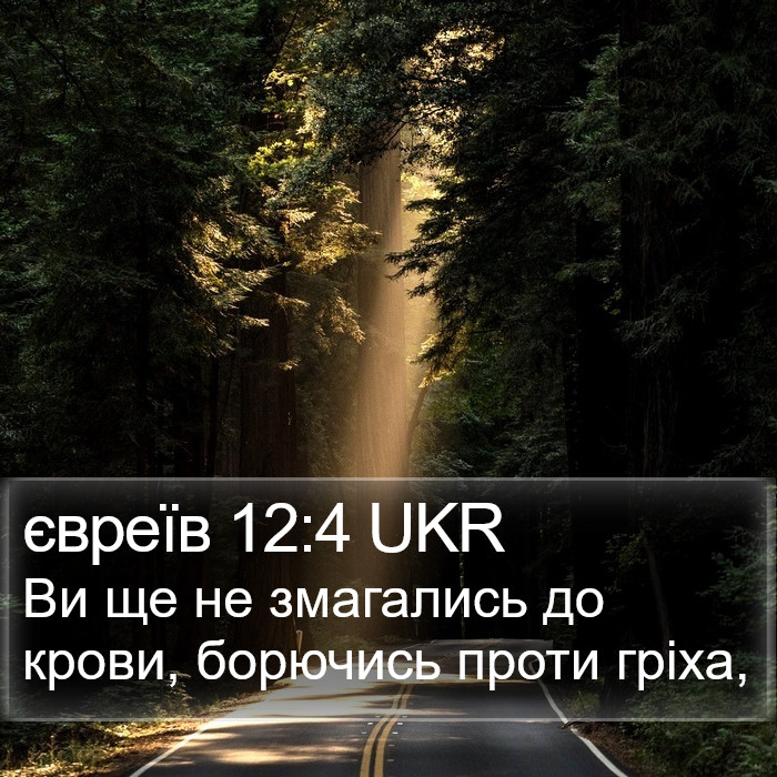 євреїв 12:4 UKR Bible Study