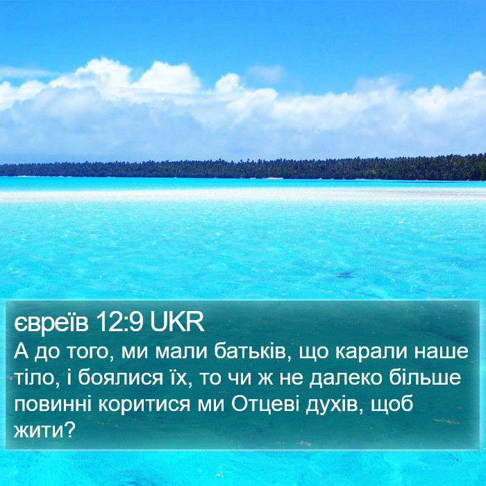 євреїв 12:9 UKR Bible Study