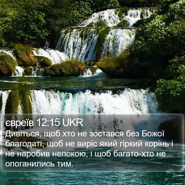 євреїв 12:15 UKR Bible Study