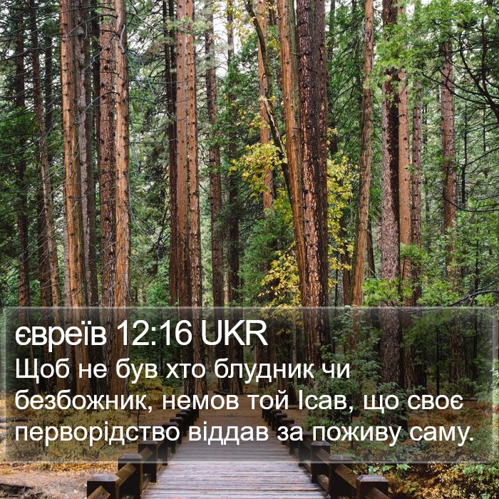 євреїв 12:16 UKR Bible Study