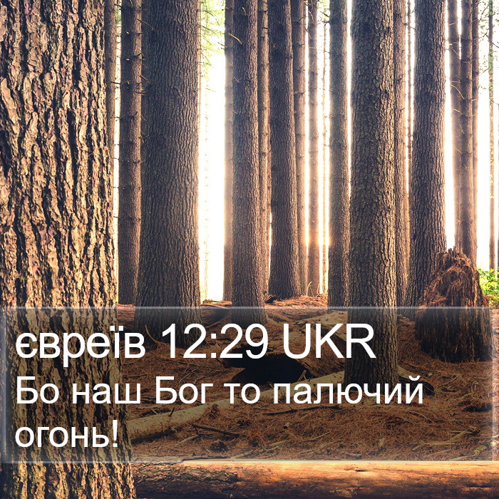 євреїв 12:29 UKR Bible Study