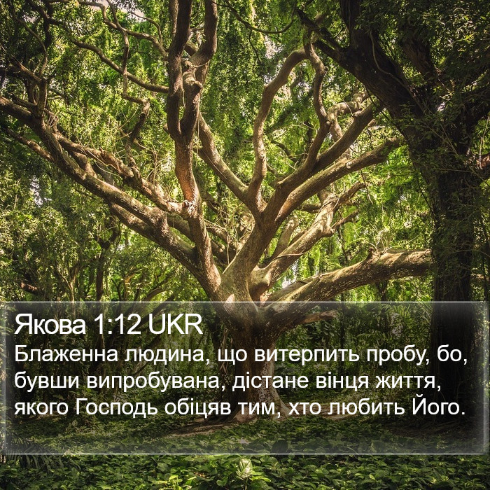 Якова 1:12 UKR Bible Study