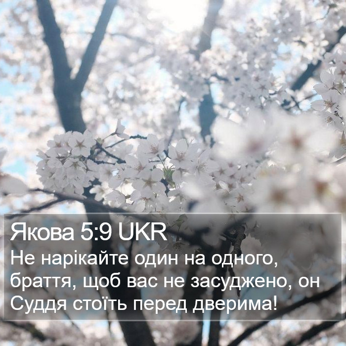 Якова 5:9 UKR Bible Study