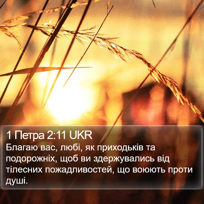 1 Петра 2:11 UKR Bible Study