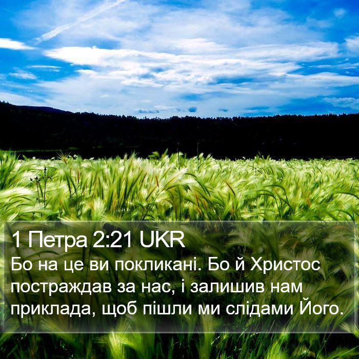 1 Петра 2:21 UKR Bible Study