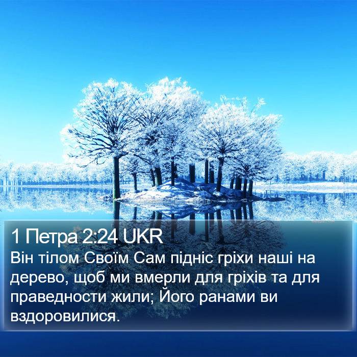 1 Петра 2:24 UKR Bible Study